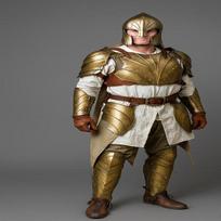 Elven Illumine Armor Set  Brass-plated LARP/Fantasy Cuirass, Helmet, Pauldrons, Bracers, Tassets  Greaves  Brass Armor Set , Knight Armor