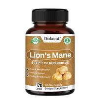 Lion'S Mane 4:1 Extract 500 Mg Dietary Supplement, 120 Capsules Per Bottle 120 Capsules