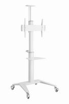 TV SET ACC FLOOR STAND 37-70"/WHITE TVS-70T-02-W GEMBIRD | TVS-70T-02-W | 8716309128995