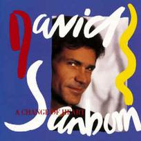 CD David Sanborn - A Change Of Heart