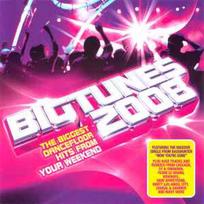 CD Various - Bigtunes 2008