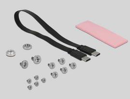 Delock External Enclosure 2.5" M.2 USB 3.1 Black 42609