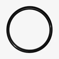 Leifheit O-Ring for Nemo vacuum window cleaner