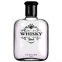 Evaflor Whisky Black, Eau De Toilette, For Men, 100 ml