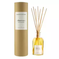 The Olphactory Forever Citrus  AND  Shades, Aroma Reed Diffuser, 100 ml *Tester