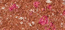 Pupa Highly pigmented eyeshadows Vamp! (Compact Eyeshadow) 1.5 g - 203 24K Gold - Metallic 204 Fancy Copper - Gems Šešėliai