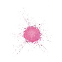 Make Up For Ever Brightening powder (Star Lit Powder) 1.2 g - 26 Silver 25 Pink kontūravimo paletė