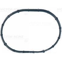 Įsiurbimo kolektoriaus tarpinė REINZ 71-21056-00