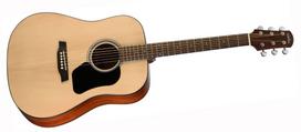 Akustinė gitara Walden D450W