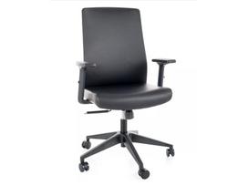Ergonominė darbo kėdė Q-085