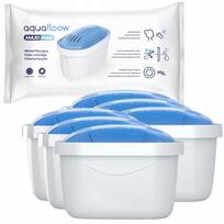 Vandens filtras AquaFloow MaxiMag, 6 vnt.