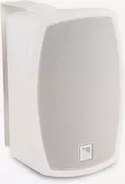 AMC iPlay 5WT sieninis garsiakalbis (baltas)