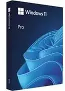 Microsoft Windows Pro 11 64 bitų Slovakijos USB
