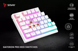 Savio Klaviatūra mechaninė belaidė PHENIX Baltas Gateron Raudona Pro, Pudding