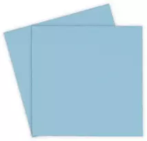 Thermal Grizzly Minus Pad Pro – 100 x 100 x 1,0 mm