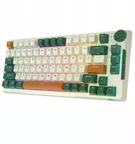 Royal Kludge RK H81 - US išdėstymas - Hot-Swappable Brown Switches - Timing Machine (Žalia) Mechaninė Belaidė Žaidimų Klaviatūra