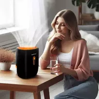 Oro sausintuvas, efektyvus drėgmės sugėrėjas namams, kompaktiškas sausintuvas drėgnoms patalpoms, 800ml talpa, tylus veikimas