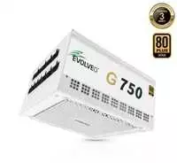 Maitinimo šaltinis Evolveo G750 maitinimo šaltinis 750W 80+ GOLD ATX 3.1 aPFC 140 mm wentylator w pełni modularny gwarancja 3 metai balta