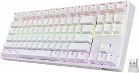 RK ROYAL KLUDGE belaidė mechaninė klaviatūra RGB apšvietimas 87 klavišų TKL Sink87G