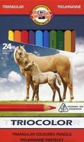 Koh-i-noor Triocolor Jumbo kreidelės, 24 spalvos