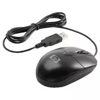 Hewlett Packard (HP) HP RH304AA pelė Ambidextrous USB Type-A Optinė