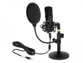 Delock Professionelles USB Kondensator Mikrofonas Set fr Podcasting und Gaming