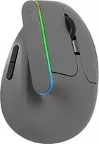 Belaidė vertikali pelė Delux M618DB BT4.0 + 2.4Ghz RGB
