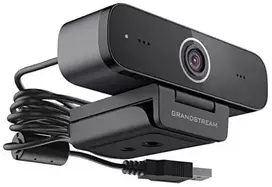Interneto svetainė GrandStream GV3100