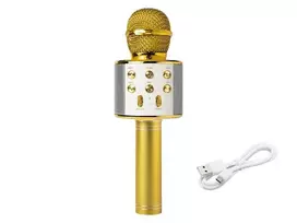 PRM402 BLOW auksinis karaoke mikrofonas