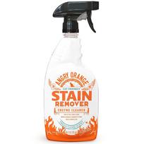 Cat Friendly Stain Remover Enzyme Cleaner Multi Surface Odor Eliminator Fresh Scent Pet Carpet Urine Feces Vomit 24oz United States