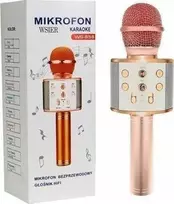 Wk Zabawki Mikrofonas W&K JYWK369-4 rožių aukso žaislinis mikrofonas