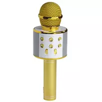 Mikrofonas su głośnikiem BT do karaoke Denver KMS-20 auksinė