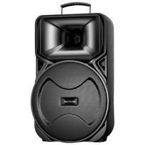 12-inch Portable Bluetooth Karaoke Trolley Speaker CN plug (adapter included)