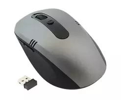 Belaidė pelė AK211