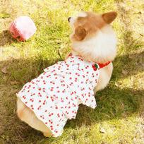 Shiba Corgi Bichon Teddy Dog Summer Princess Dress - Breathable Sun Protection Sling Vest M: 3-5 lbs, Chest 40cm