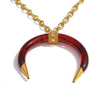 Yhpup 80+5cm Stainless Steel Resin Horn Pendant Statement Long Necklace Waterproof Fashion Attractive Vintage Lucky Jewelry