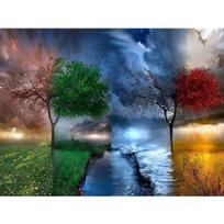 Visas 5D „pasidaryk pats“ deimantinis paveikslas „Four Seasons“ peizažas „Deimantinis siuvinėjimas“ Visiškai klojamas kryželiu namų dekoras, rankų darbo dovana 20x30cm