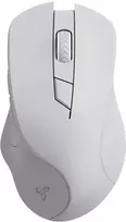 Pelė Sbox WM-308 Baltas