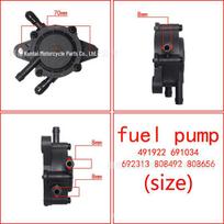 Briggs Stratton kuro siurblys 491922 691034 692313 808492 80865