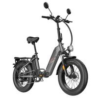Fafrees FF20 Polar City elektrinis dviratis, 500W variklis, 48V 24Ah dvigubos baterijos, 20*4.0 colių padangos mėlyna