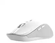 Trust 25674 pelė Universal Ambidextrous Bluetooth 3200 DPI