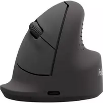 Fellowes BREYTA belaidė vertikali pelė, juoda