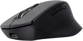 Trust Niven pelė Office dešinei rankai RF belaidė + Bluetooth 3200 DPI
