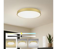 Brilagi - reguliuojamas LED šviestuvas POOL SMART LED/100W/230V 80 cm auksinis Wi-Fi Tuya+nuotolinis pultas