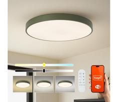 Brilagi-LED Dimeriuojamas baseino šviestuvas POOL SMART LED/100 W/230 V/80 cm, Wi‑Fi (Tuya) + nuotolinis pultelis, žalias