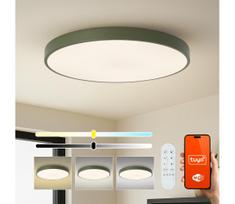 Brilagi-LED reguliuojamas baseino SMART LED šviestuvas, 128 W, 230 V, 100 cm, Wi-Fi (Tuya) + nuotolinio valdymo pultas, žalia