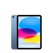 APPLE  iPad 11-inch Wi-Fi + Cellular 256GB - Blue | 527917  | 0195950105872
