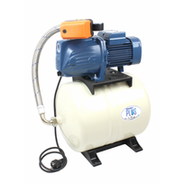 Vandens siurblys su hidroforu Pedrollo JSWm1AX-N-24 APT (0.6 kW ~230 V)