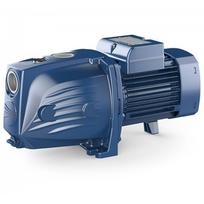 Vandens tiekimo siurblys Pedrollo JSWM1AX (0,6 kW ~ 230 V)