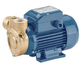Vandens tiekimo siurblys Pedrollo PQm 60-Bs 0,37 kW 230 V 50 Hz